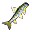 Goby.png