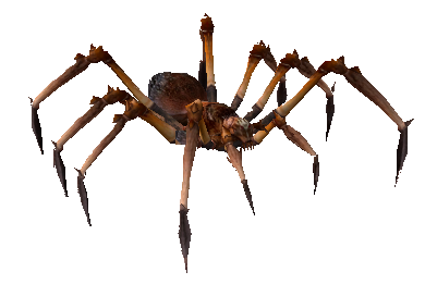 File:Poison Spider.png
