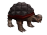 Giant Tortoise.png