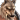 Icon Lycan male.png