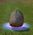 Easter Metin.jpg