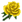 Yellow Rose.png