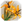 Golden Herb.png