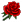 Rose (red).png