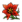Blood Red Flower.png