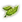 Leaves of Life.png