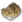 Ice Monster Skin.png