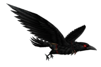 Night Raven IG.png